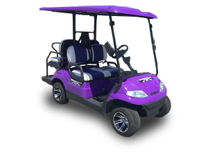 golf cart repair service, palm coast cart repair pickup